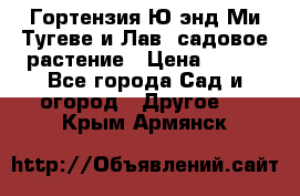 Гортензия Ю энд Ми Тугеве и Лав, садовое растение › Цена ­ 550 - Все города Сад и огород » Другое   . Крым,Армянск